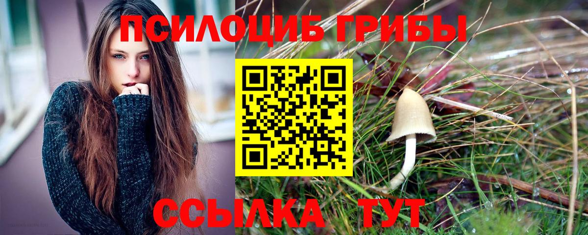 Чебаркуль  Галлюциногенные грибы ЛСД  Вход с VPN  Псилоцибиновые грибы MAGIC MUSHROOMS 