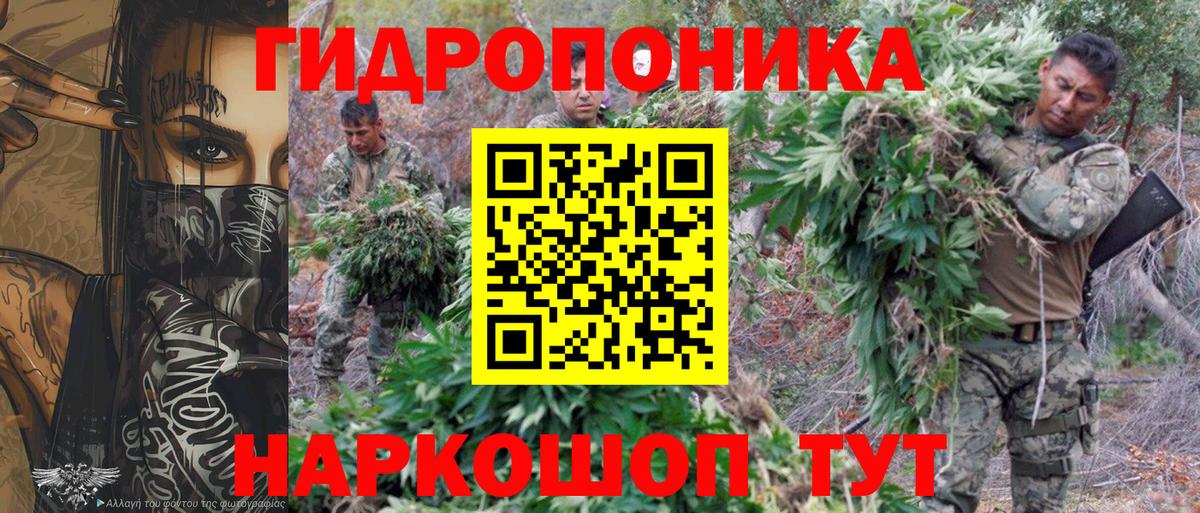 Бошки марихуана гибрид Чебаркуль